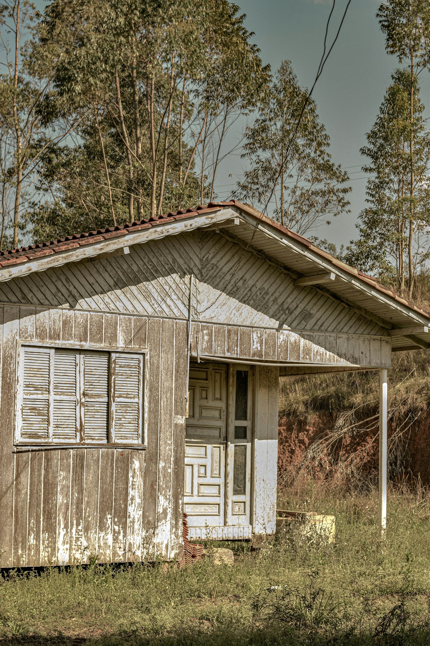 Wie alles begann: Das Wickedhouse Project